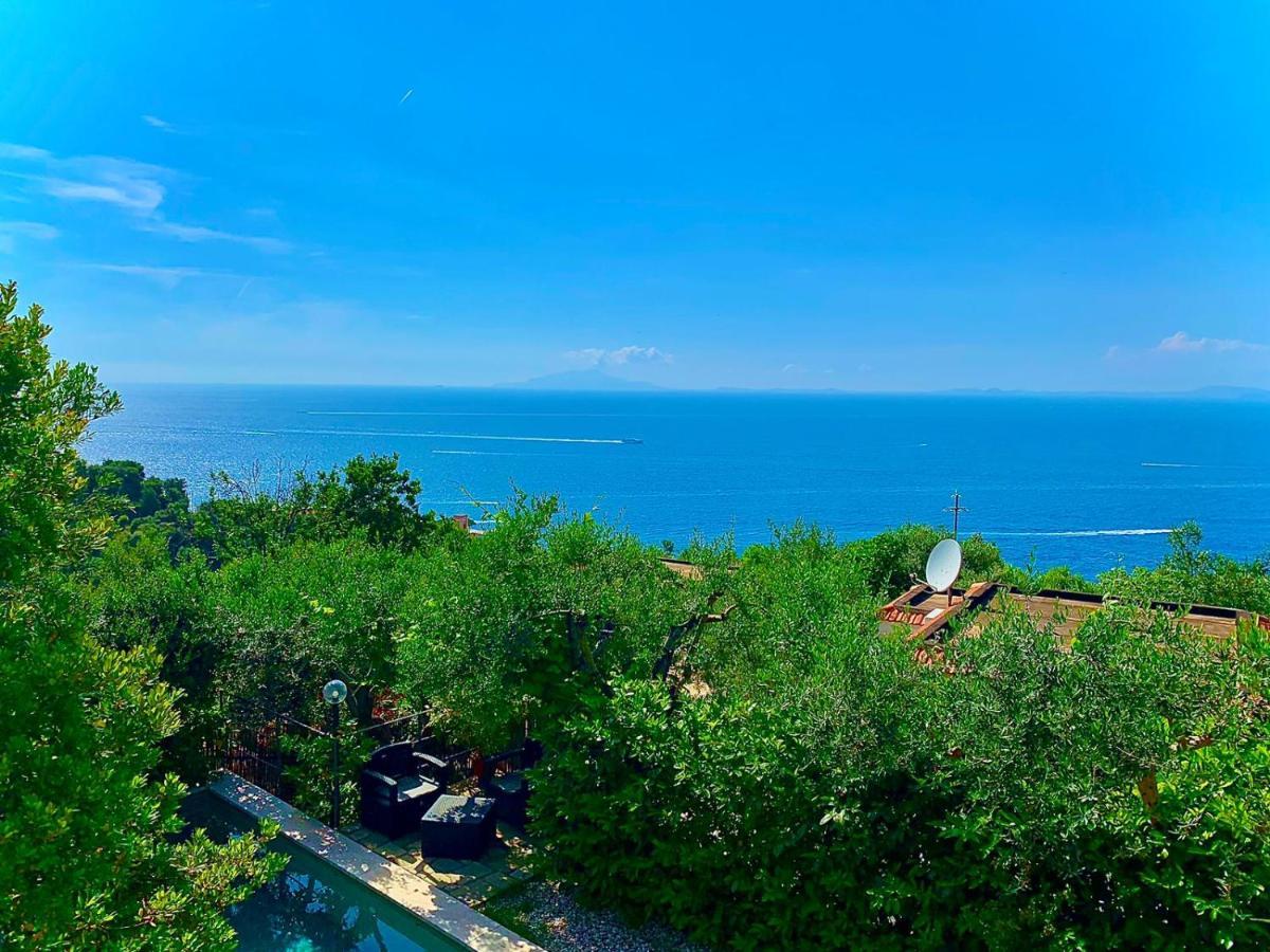 Amore Rentals - Casa Tatano Marciano Екстер'єр фото