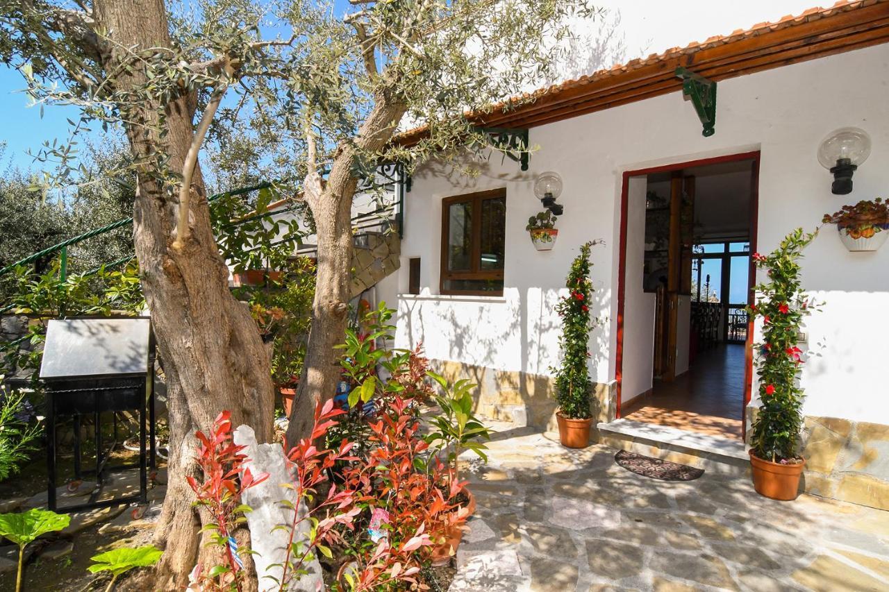 Amore Rentals - Casa Tatano Marciano Екстер'єр фото