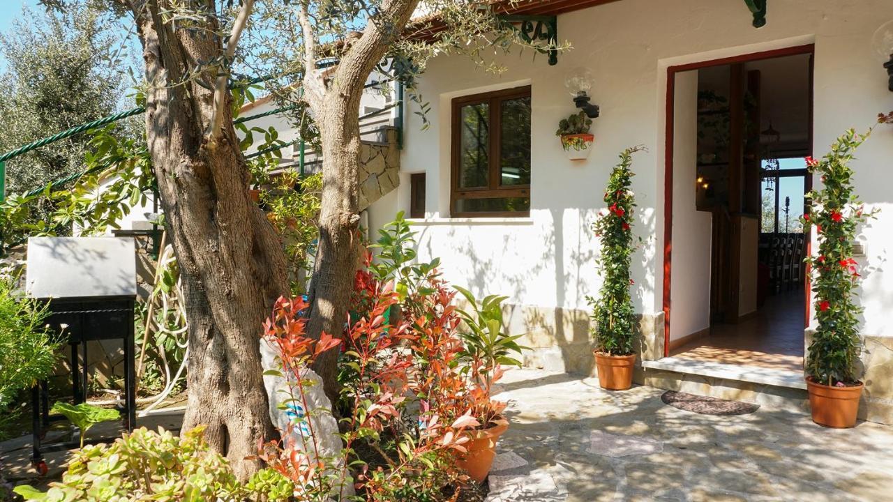 Amore Rentals - Casa Tatano Marciano Екстер'єр фото