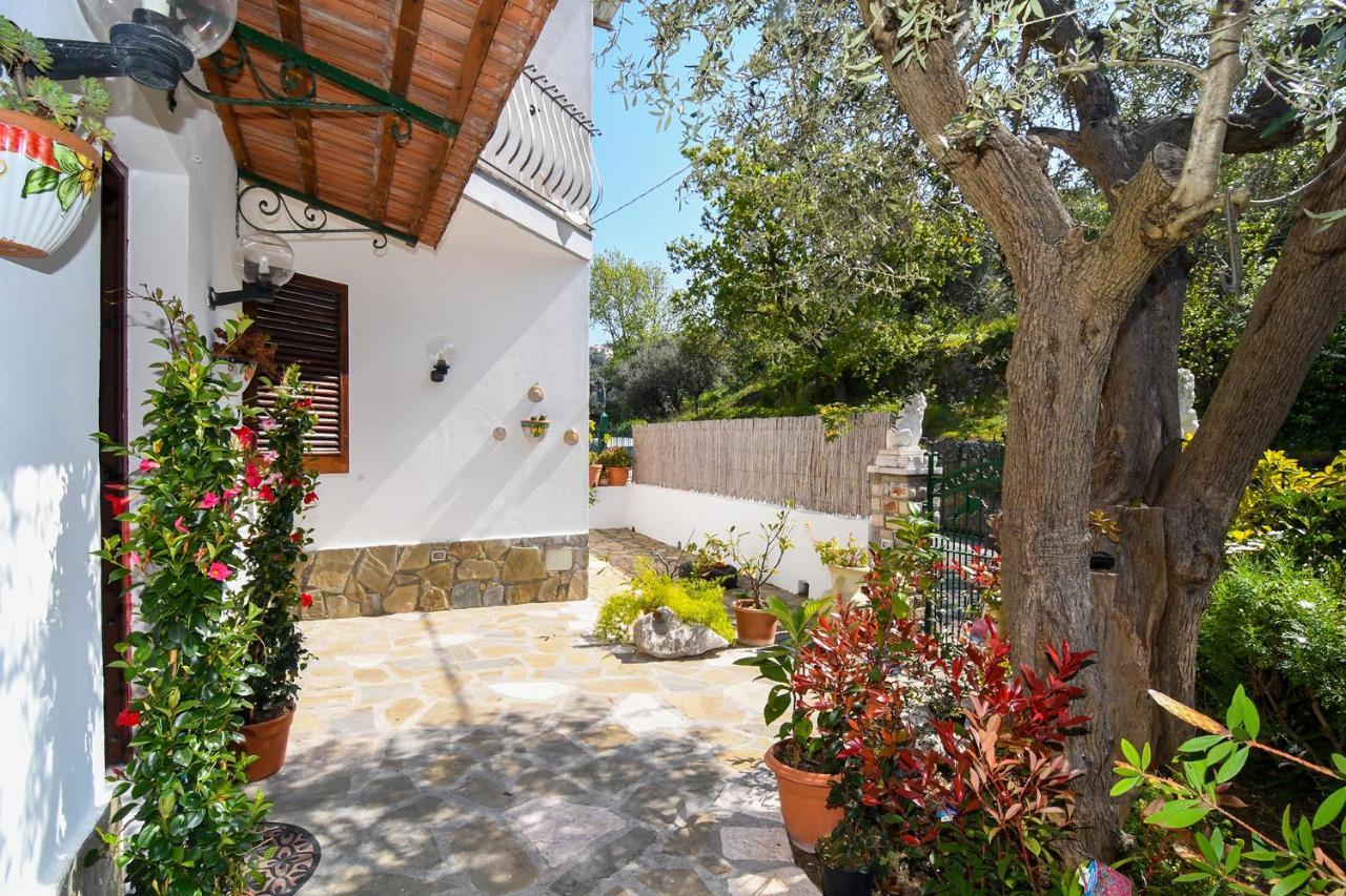 Amore Rentals - Casa Tatano Marciano Екстер'єр фото