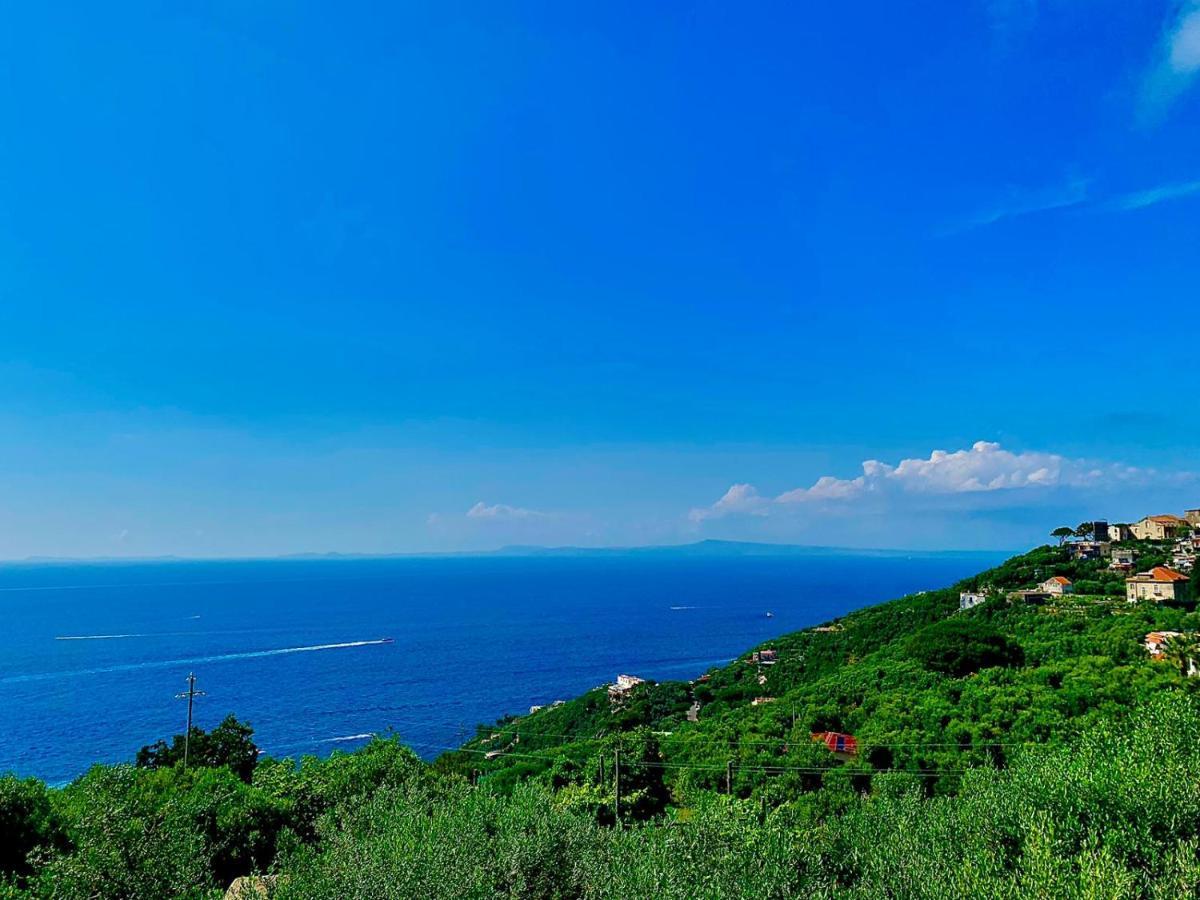 Amore Rentals - Casa Tatano Marciano Екстер'єр фото
