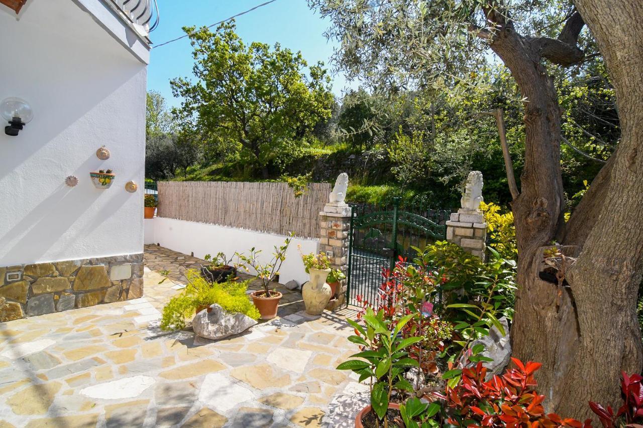 Amore Rentals - Casa Tatano Marciano Екстер'єр фото